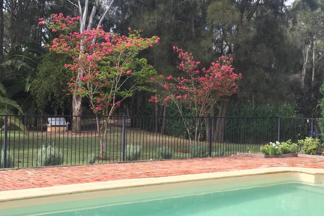 Photo of Others in Nulkaba