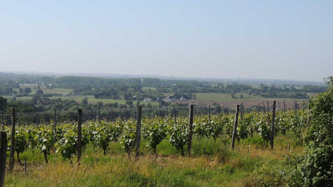 Photo of Outdoor in Faye-d'Anjou