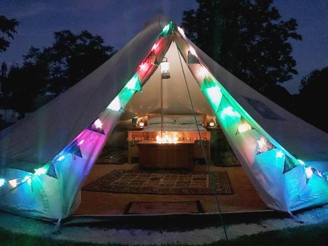 Photo of Others in La Foret-de-Tesse