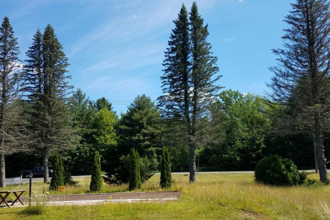 Photo of Others in Becket