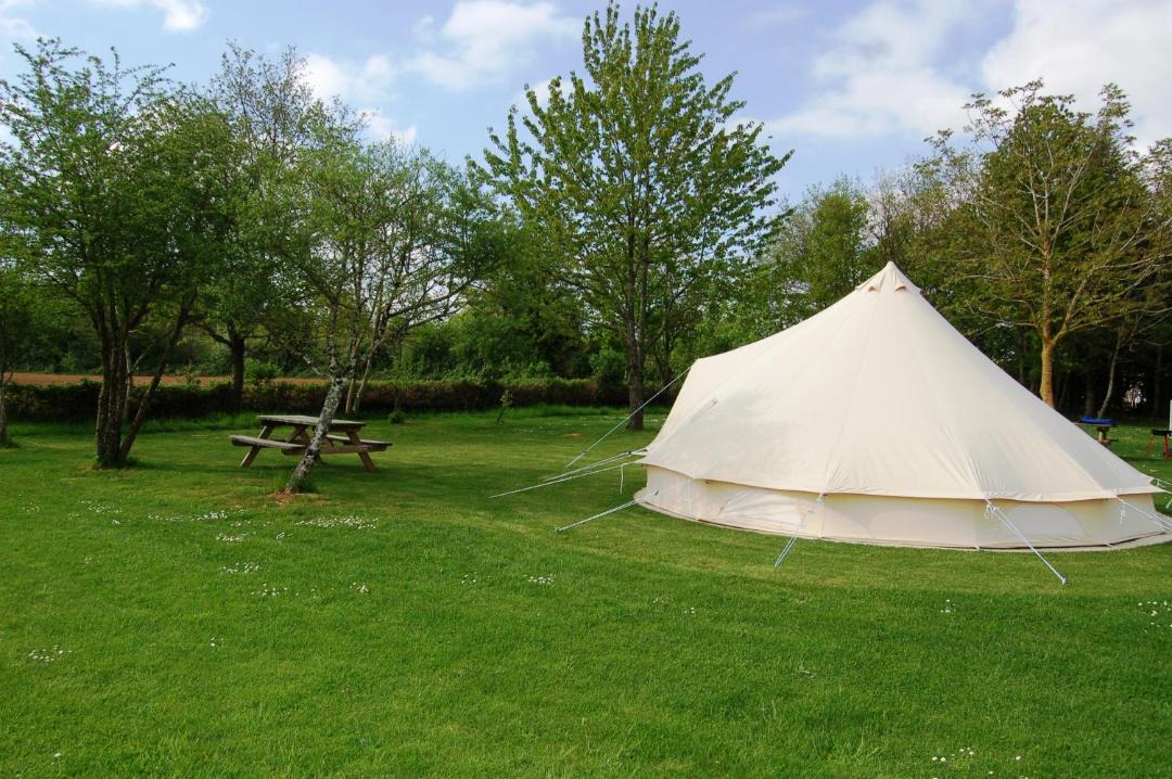 Photo of Others in La Foret-de-Tesse