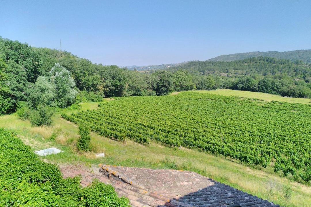 Photo of Others in Saint-Polycarpe