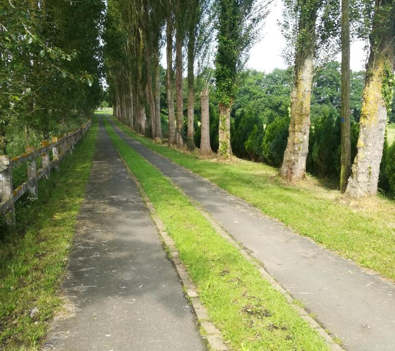 Photo of Others in Begard