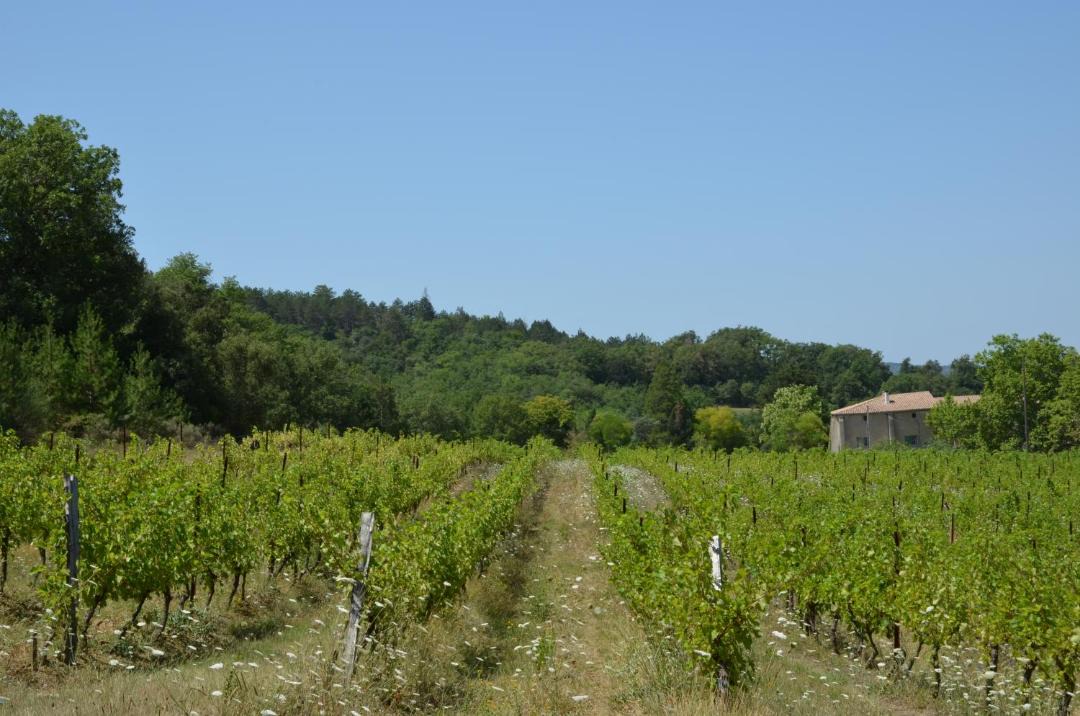 Photo of Others in Saint-Polycarpe