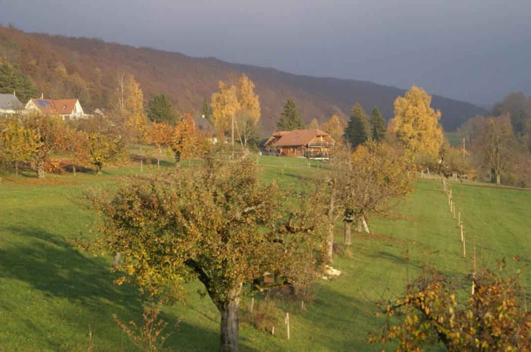 Photo of Others in Himmelried
