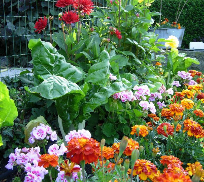 Photo of Others in Le Nouvion-en-Thierache