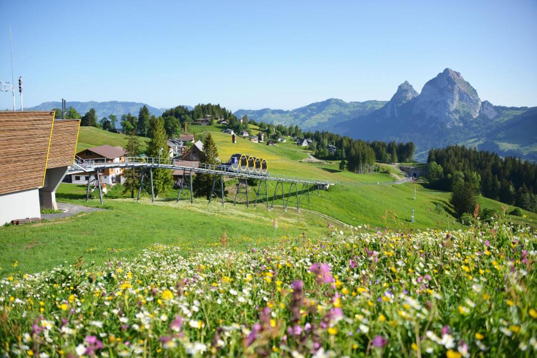 Photo of Others in Schwyz