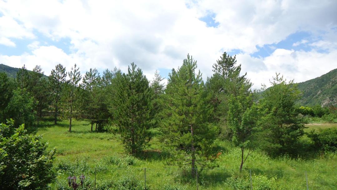 Photo of Outdoor in Entrevaux
