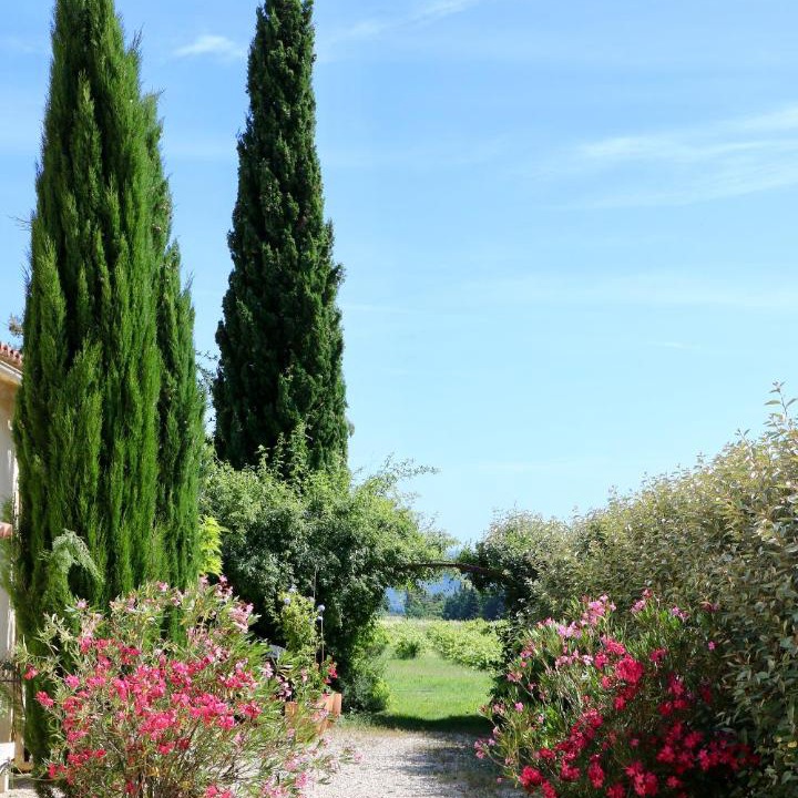 Photo of Others in Cucuron