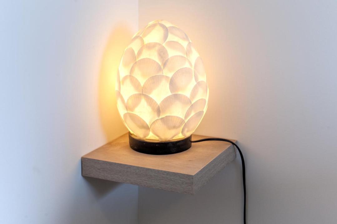 Photo of Others in Bastia