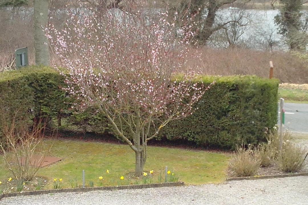 Photo of Others in Estreelles