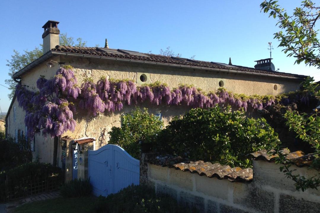 Photo of Others in Pujols