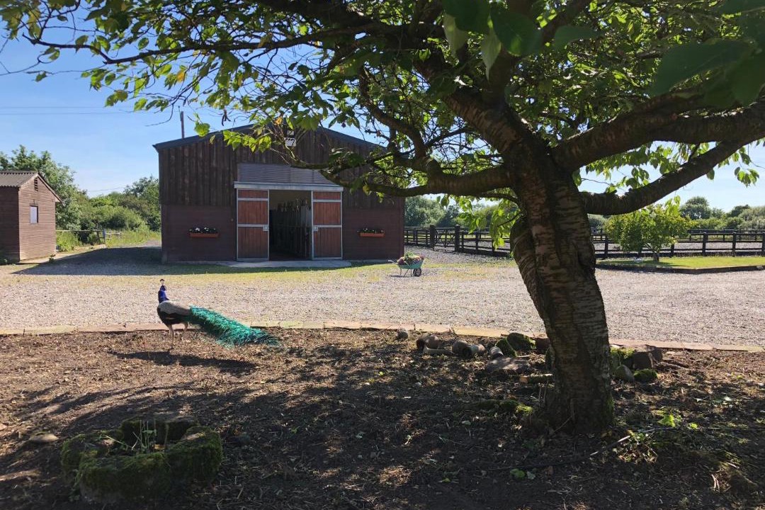 Photo of Others in Congleton