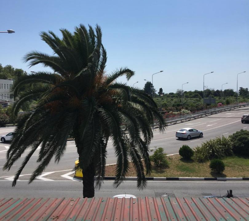 Photo of Others in Adler City Centre