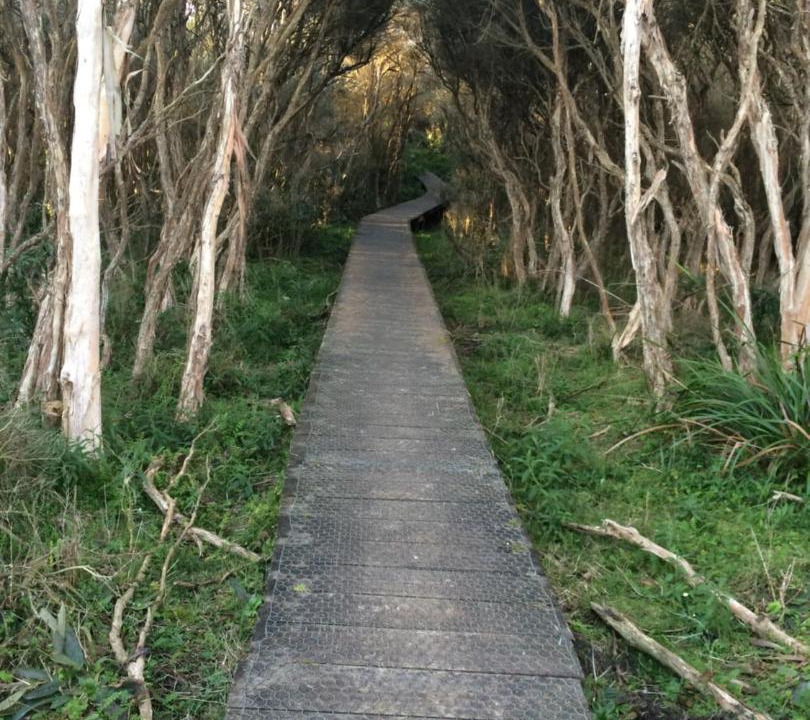 Photo of Others in Yanakie