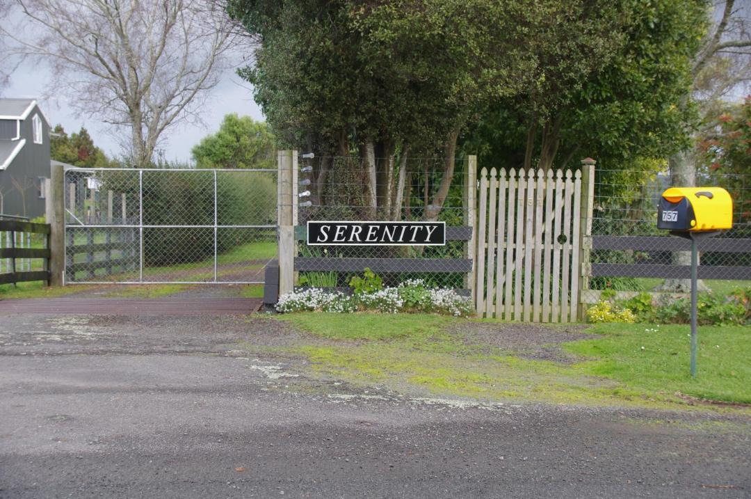 Photo of Others in Te Miro