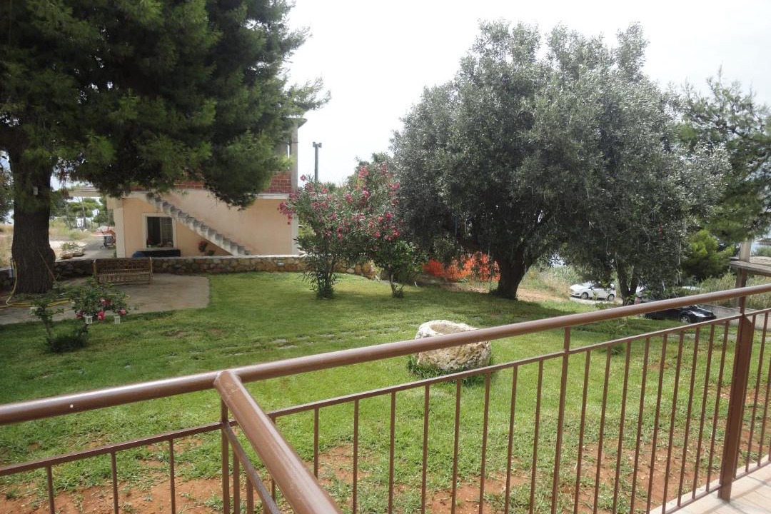 Photo of Others in Pesada