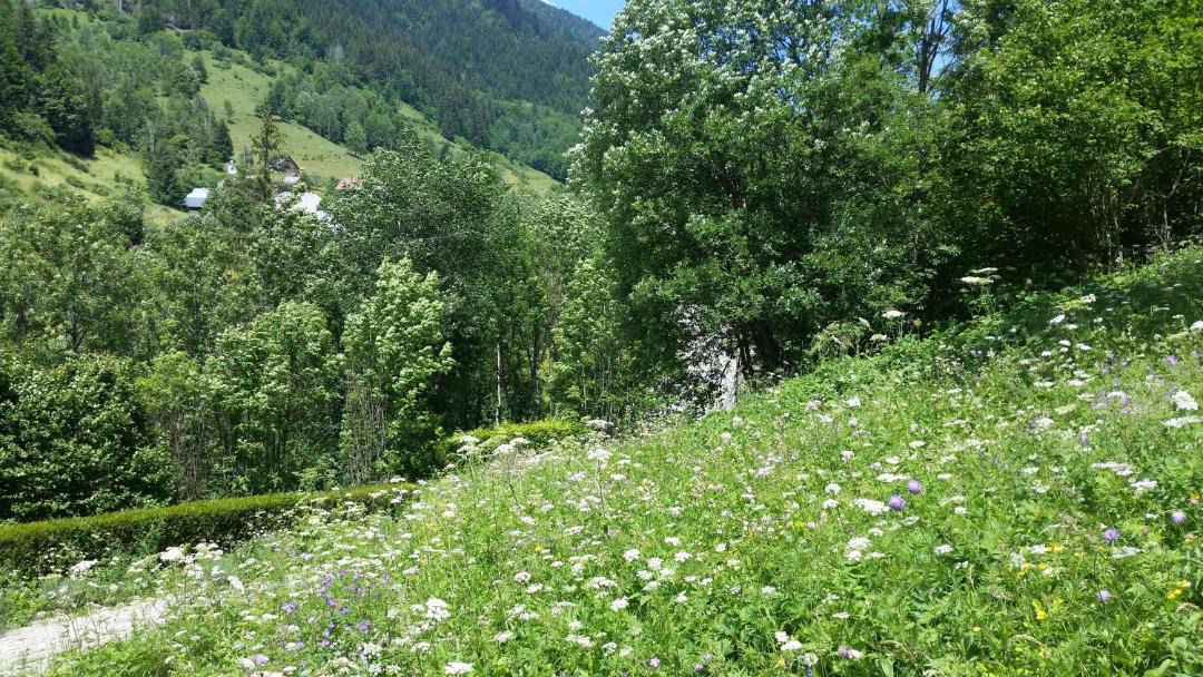 Photo of Others in Le Massot