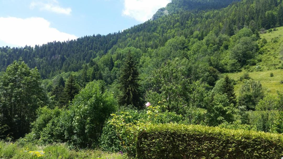 Photo of Others in Le Massot