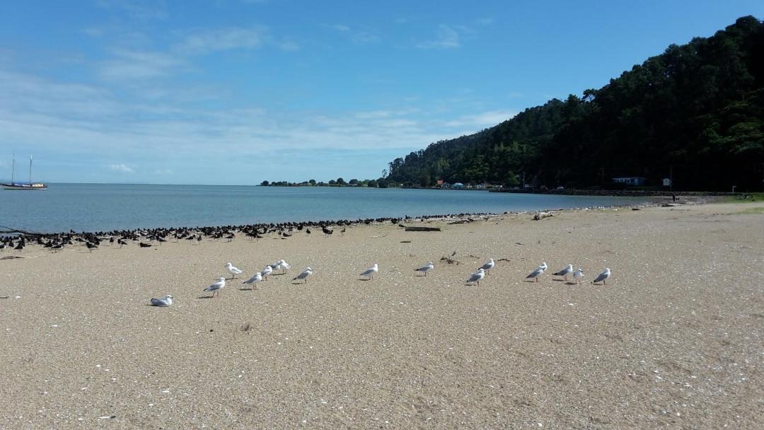 Photo of Others in Thames