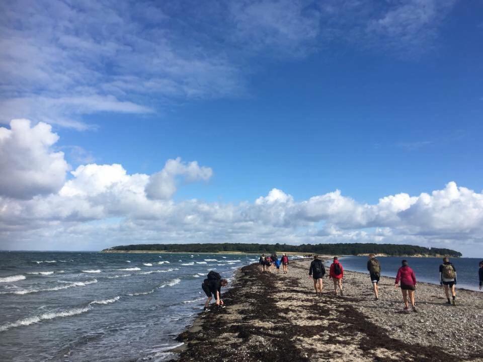 Photo of Buildings in Nordfyns Kommune