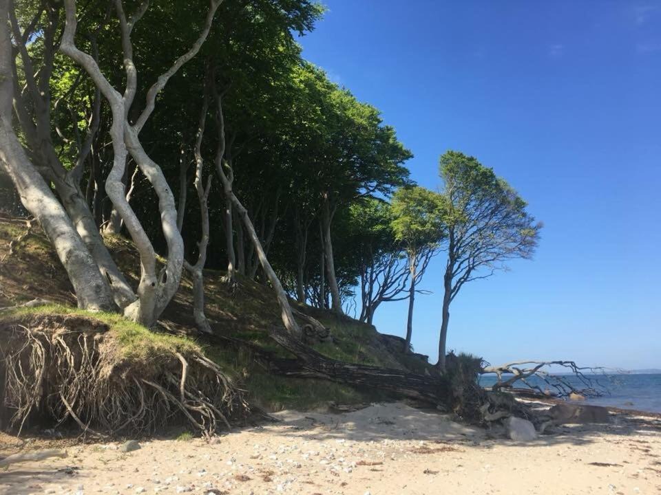 Photo of Outdoor in Nordfyns Kommune