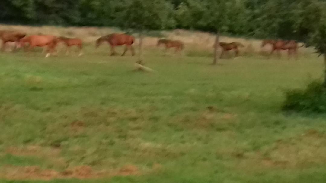 Photo of Outdoor in Troarn