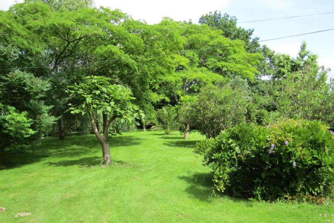 Photo of Others in Clermont