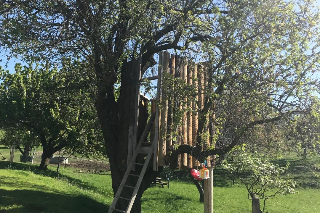 Photo of Others in Vesc