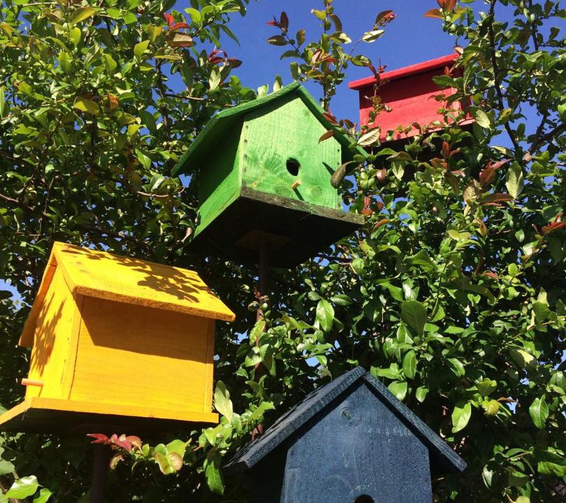 Photo of Buildings in Ceyssat