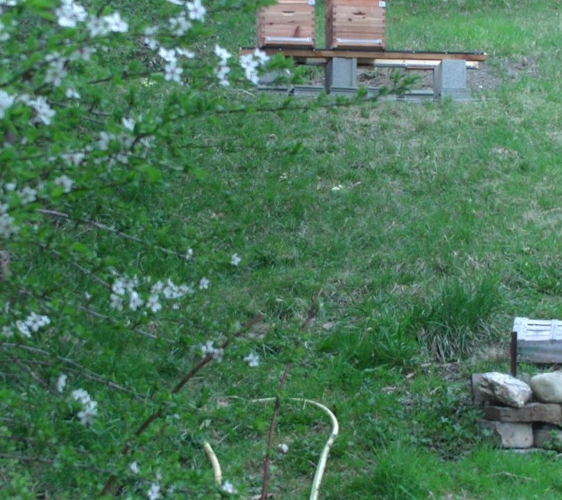 Photo of Others in Marthod