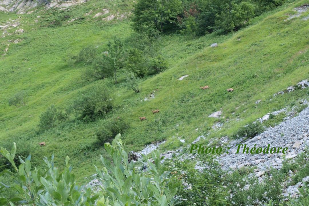 Photo of Others in Marthod