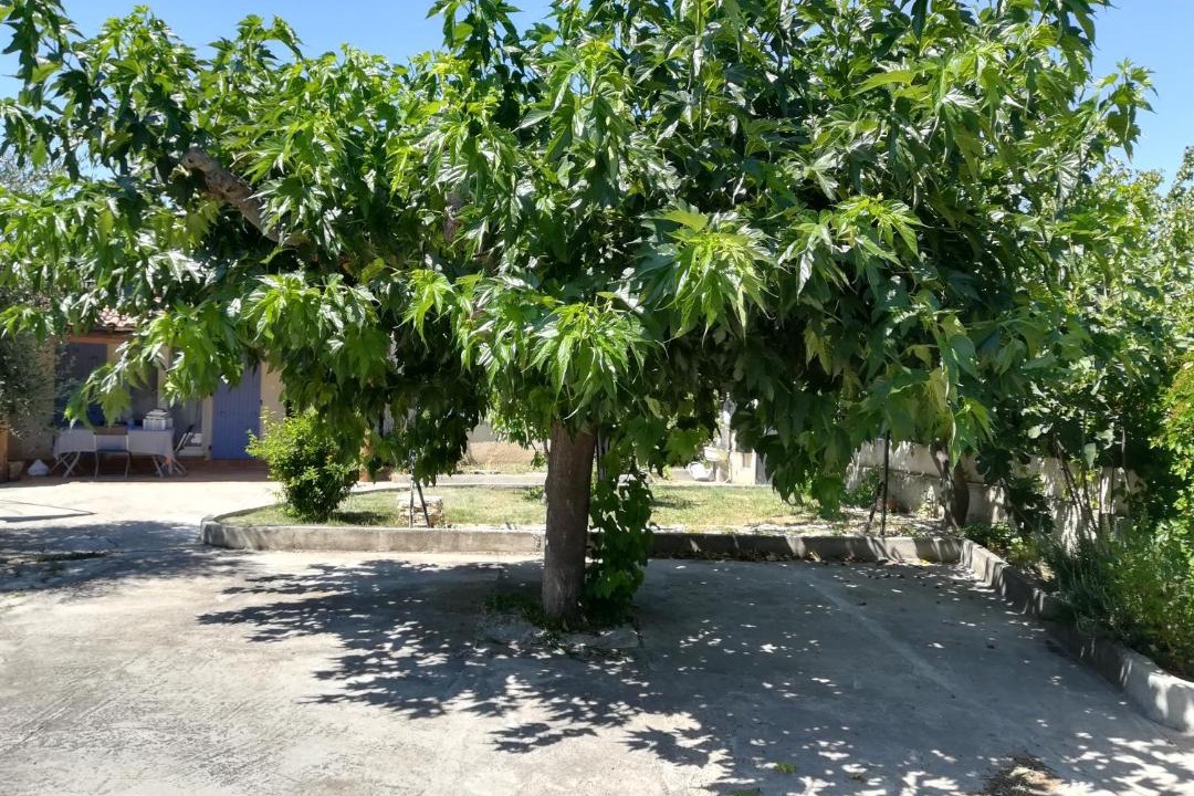 Photo of Outdoor in Carpentras