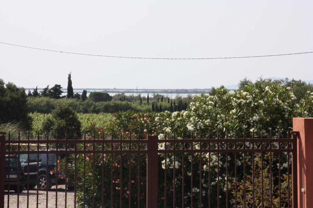 Photo of Others in Saint-Nazaire