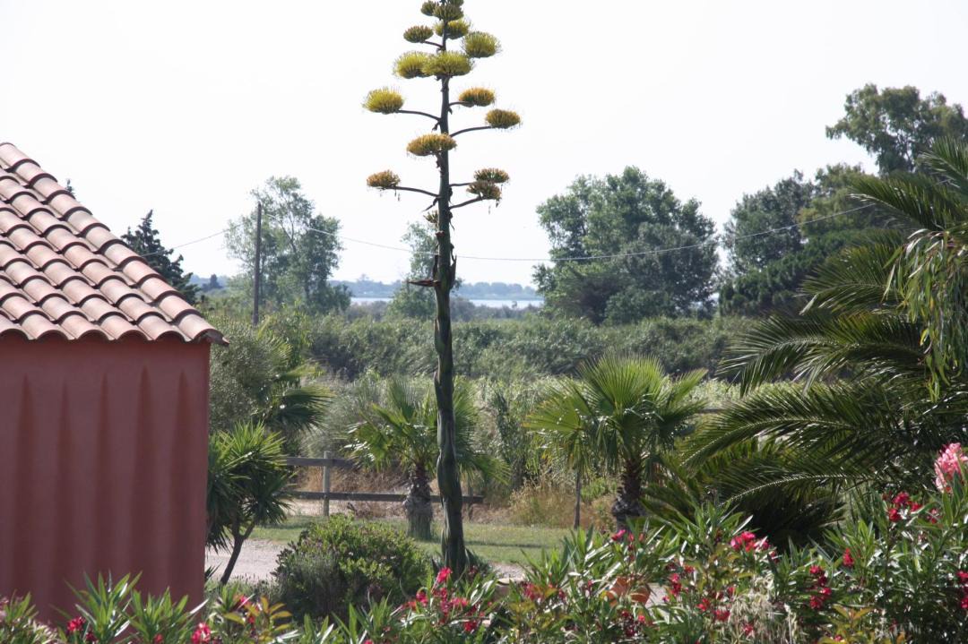 Photo of Others in Saint-Nazaire