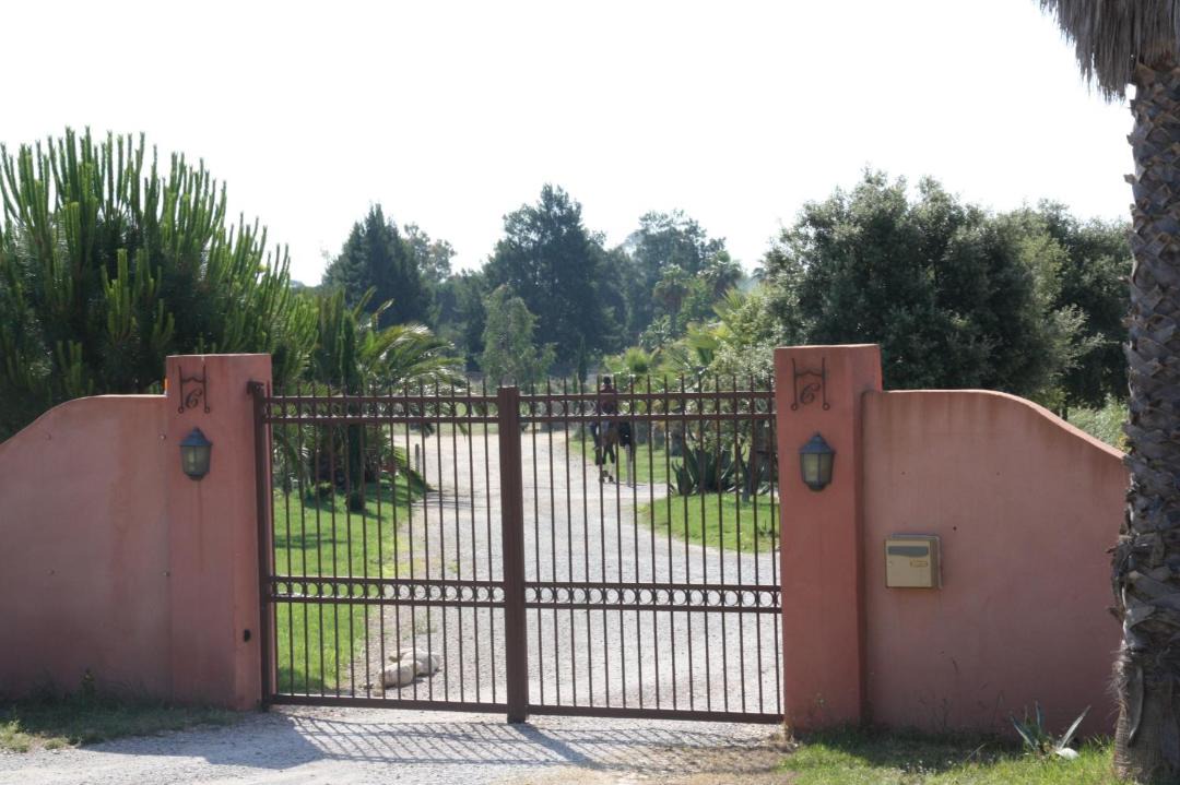 Photo of Others in Saint-Nazaire