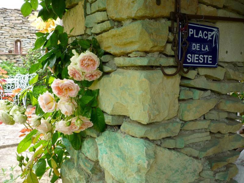 Photo of Others in Saint-Andre-d'Olerargues
