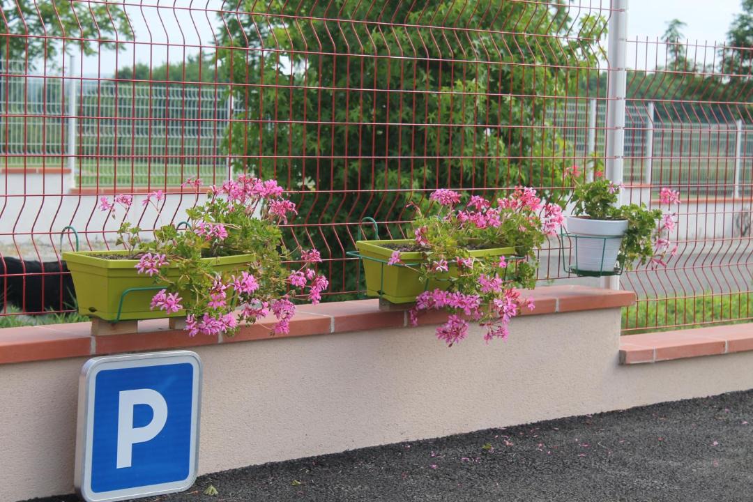 Photo of Others in Saint-Nicolas-de-la-Grave