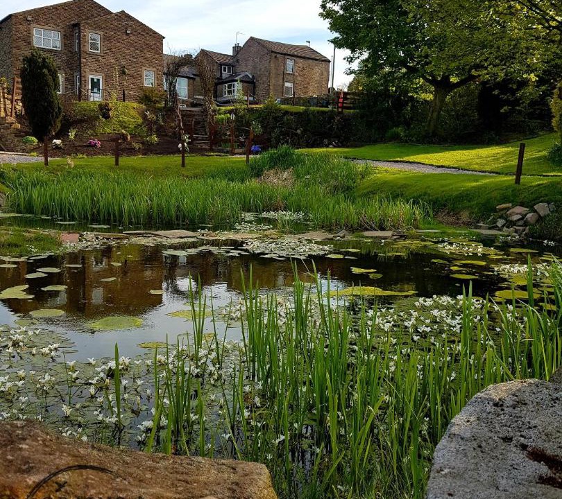 Photo of Others in Saddleworth