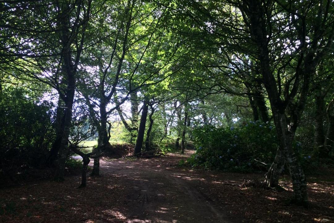 Photo of Outdoor in Locronan