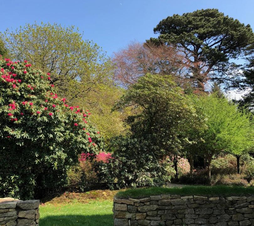 Photo of Outdoor in Locronan