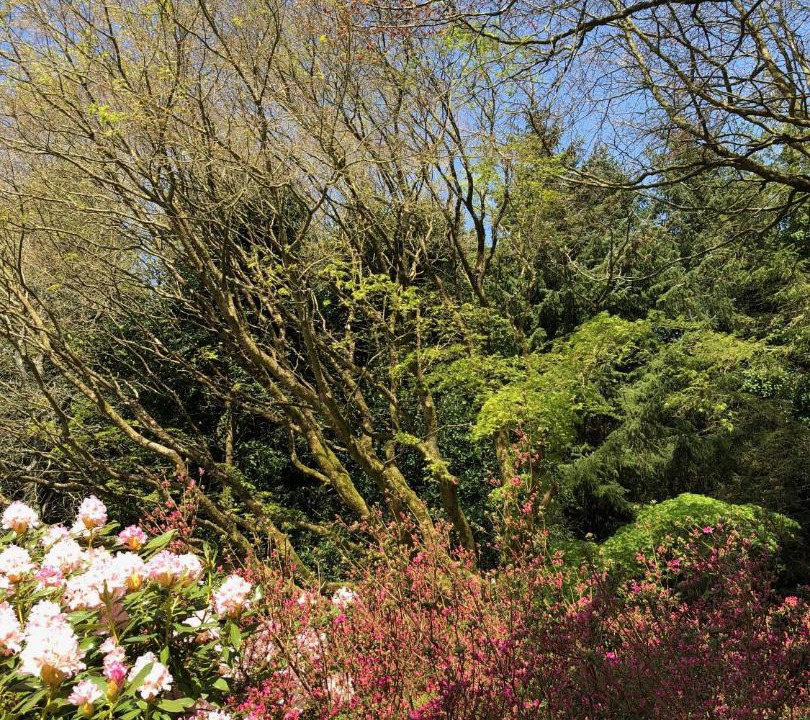 Photo of Outdoor in Locronan