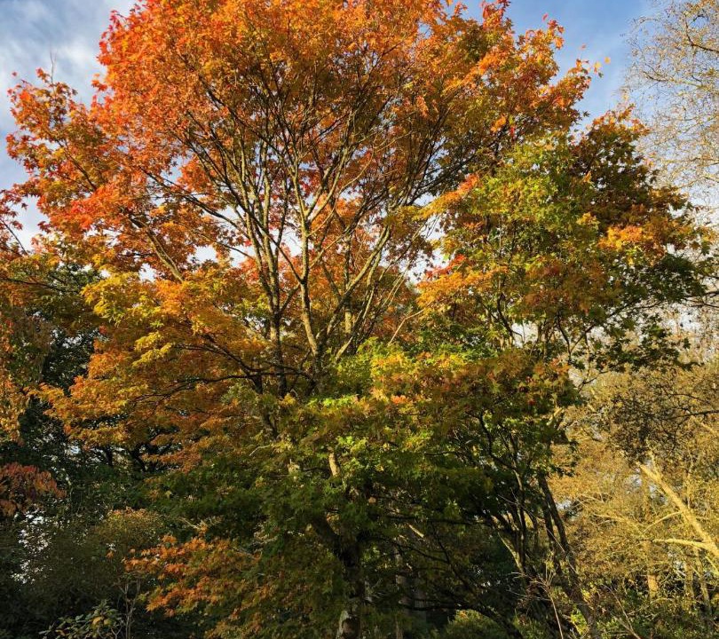 Photo of Outdoor in Locronan