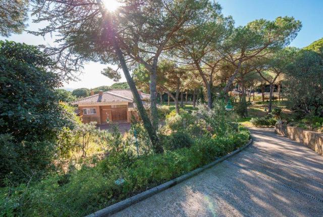 Photo of Outdoor in Sant Andreu de Llavaneres