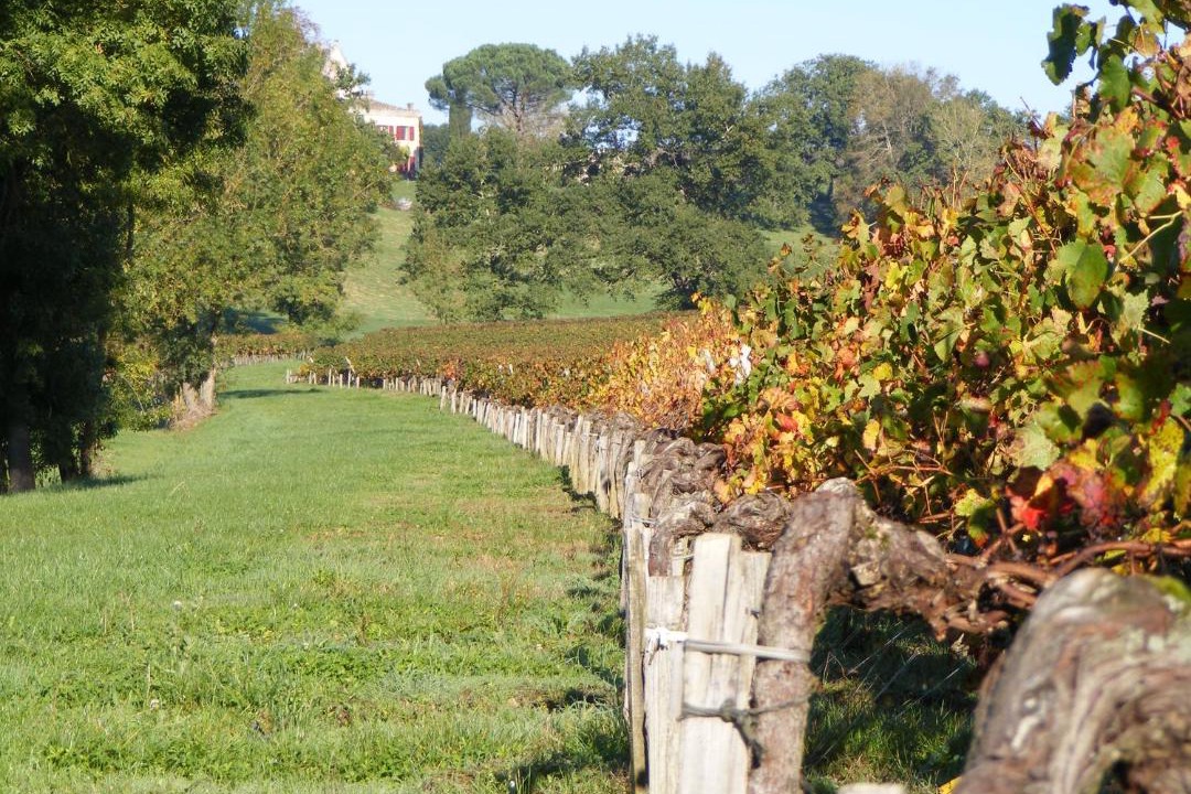 Photo of Others in Lugon-et-l'ile-du-Carney