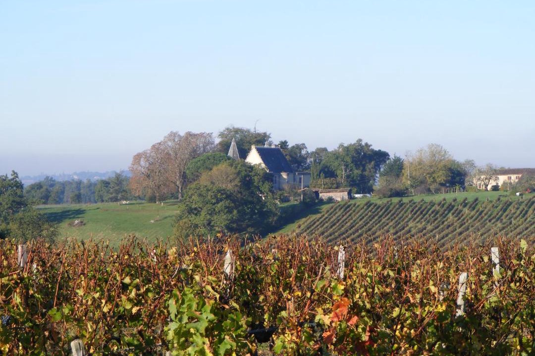 Photo of Others in Lugon-et-l'ile-du-Carney