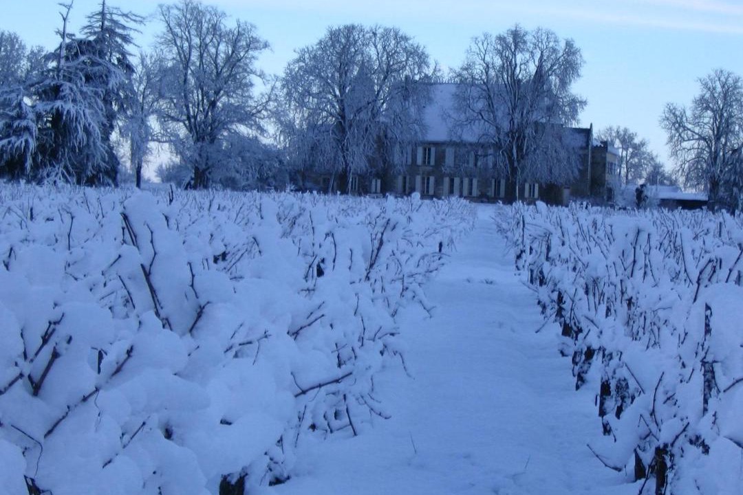 Photo of Others in Lugon-et-l'ile-du-Carney