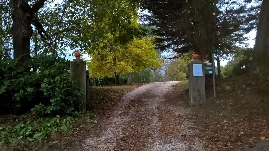 Photo of Others in Clarac