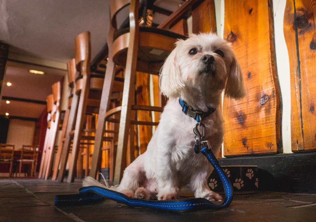 Photo of Others in Plaitford