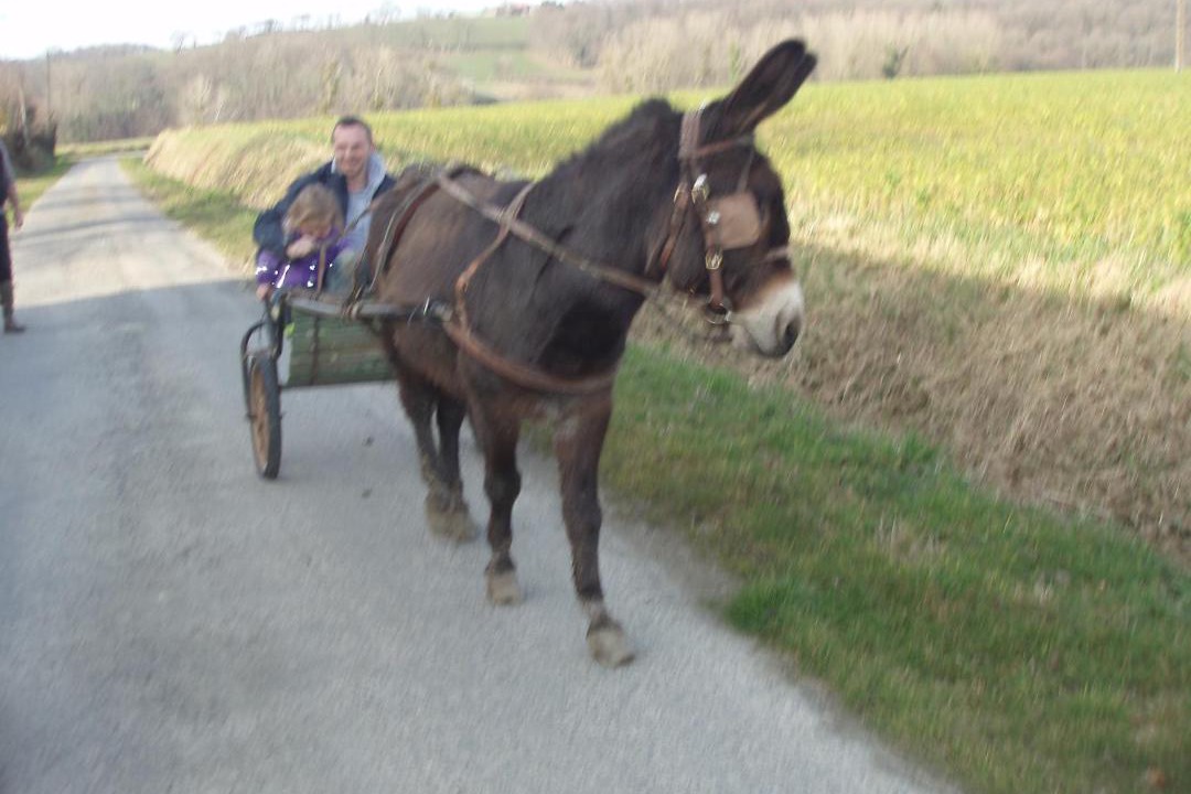 Photo of Others in La Boussac